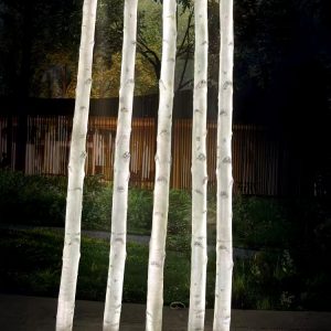 Waterproof Glowing Birch Tree – Customizable Any Height & Direct Manufacturer