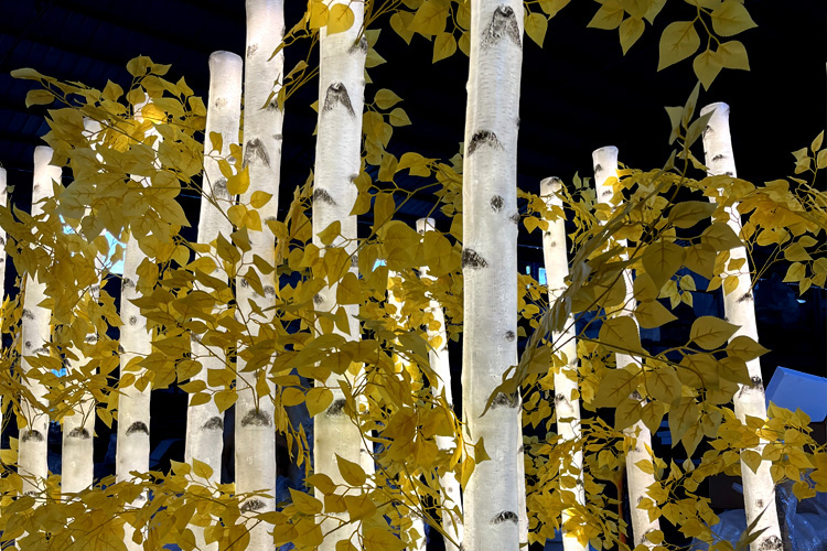 Glowing Birch Tree