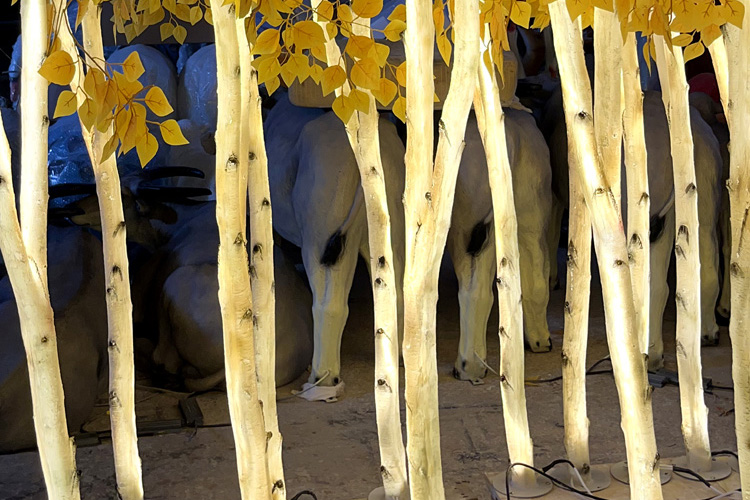 Glowing Birch Tree