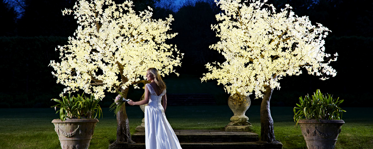 Illuminated Tree Light