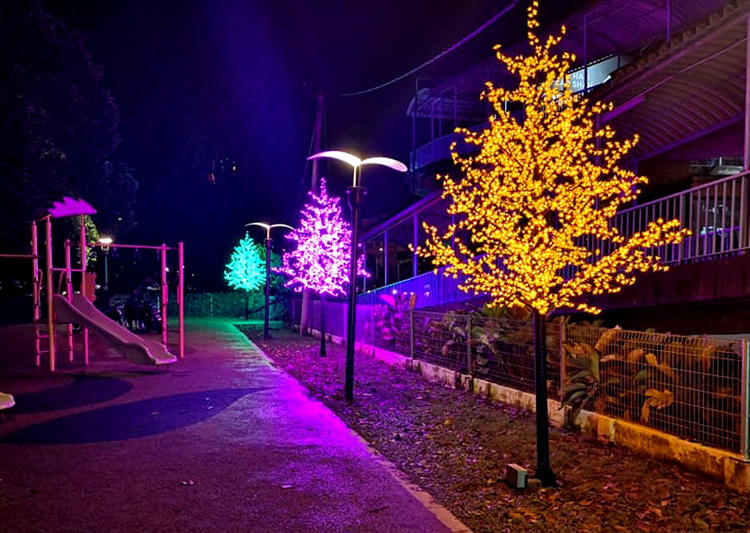 Cherry Blossom Lights