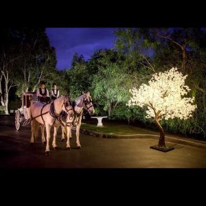 Illuminated LED Maple Tree Light – Wholesale Customizable Outdoor Garden Festive Decor