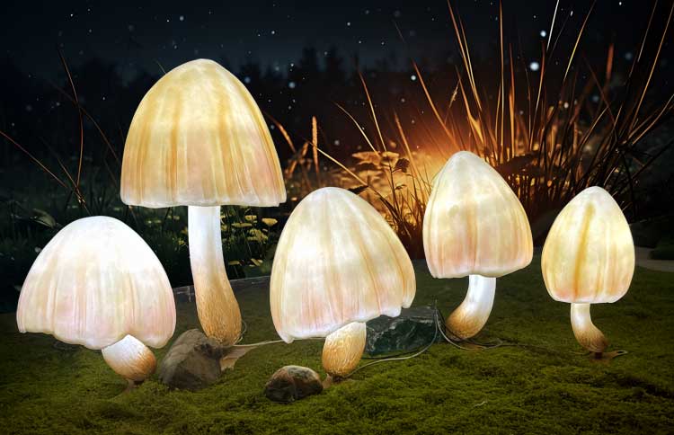 Christmas Decor light 