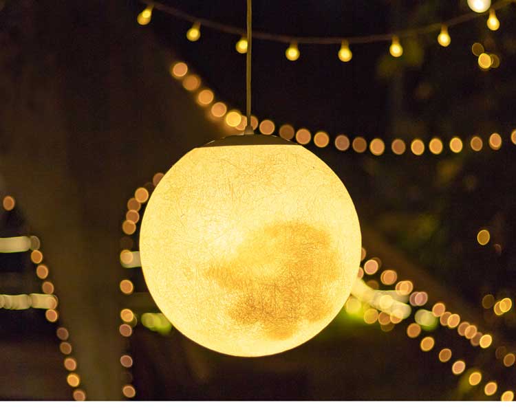 Garden Landscape Light