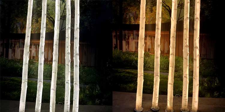LED Birch Tree