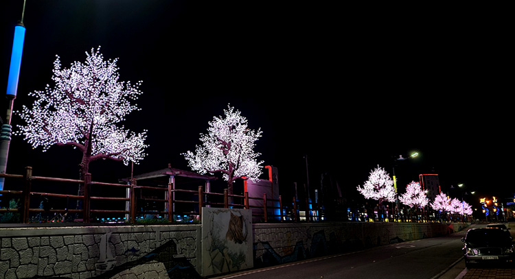 Cherry Blossom Light Tree