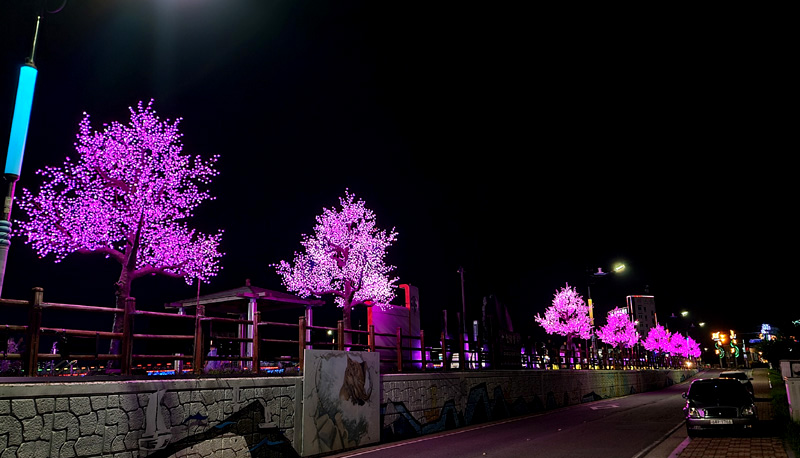 Cherry Blossom Light Tree