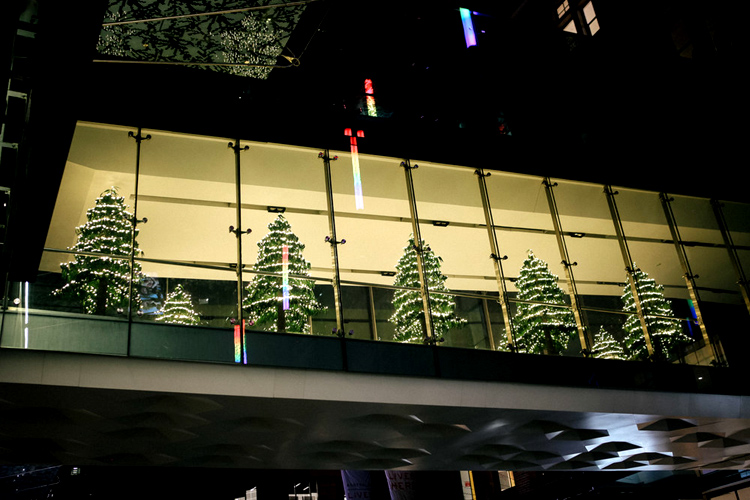 LED Christmas Tree Light