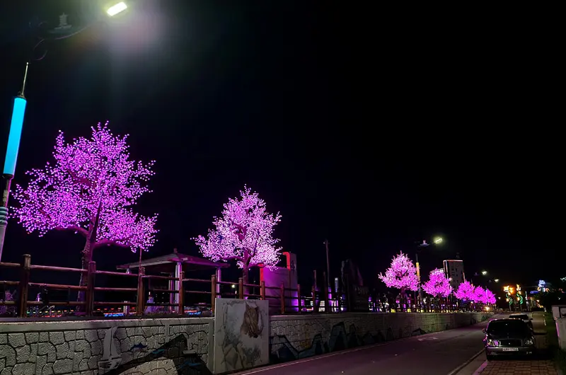 RGBW LED Cherry Blossom Tree Light | Custom Outdoor Holiday Decor Manufacturer