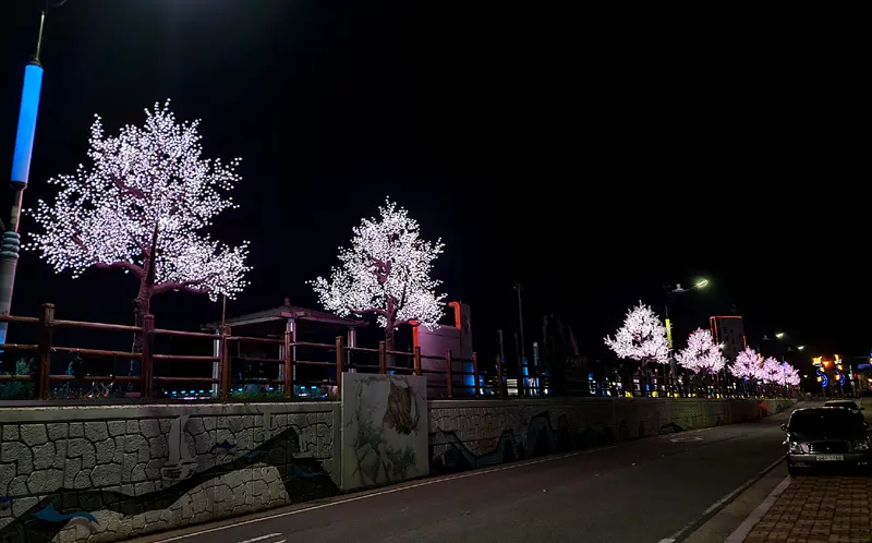 16ft RGBW LED Cherry Blossom Tree Light | Custom Outdoor Holiday Decor Manufacturer 10 RGBW color changing LED cherry blossom tree light for garden wedding and holiday decor