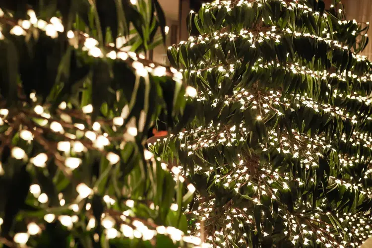 8ft Luminous LED Christmas Tree | Custom Outdoor Garden Holiday Decoration 11 LED Christmas Tree specification sheet, outdoor holiday decor artificial tree light