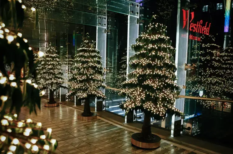 8ft Luminous LED Christmas Tree | Custom Outdoor Garden Holiday Decoration 5 8ft Luminous LED Christmas Tree | Custom Outdoor Garden Holiday Decoration - 图片 5