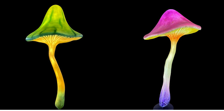 LED Mushroom Garden Decor