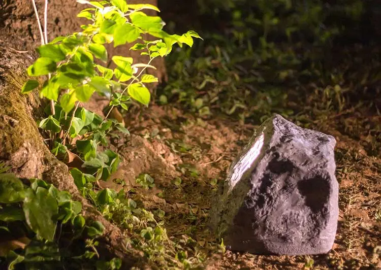 Stone Garden Spotlight
