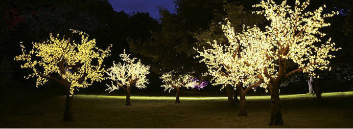 LED Cherry Tree Light