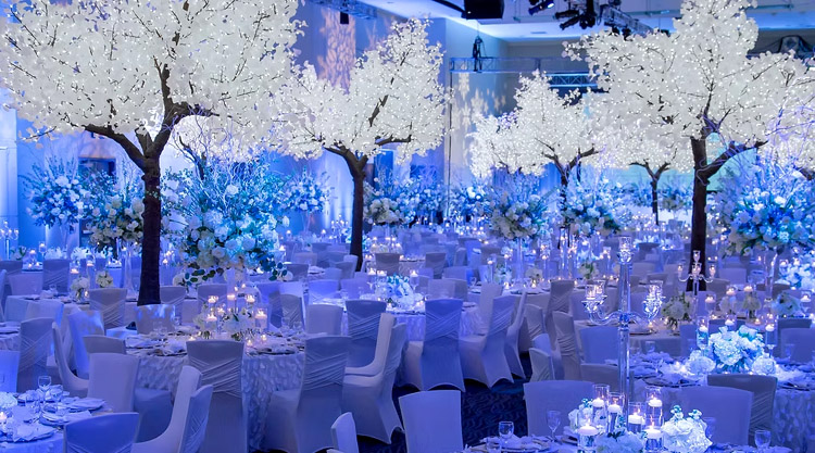 Illuminated Tree Lighting