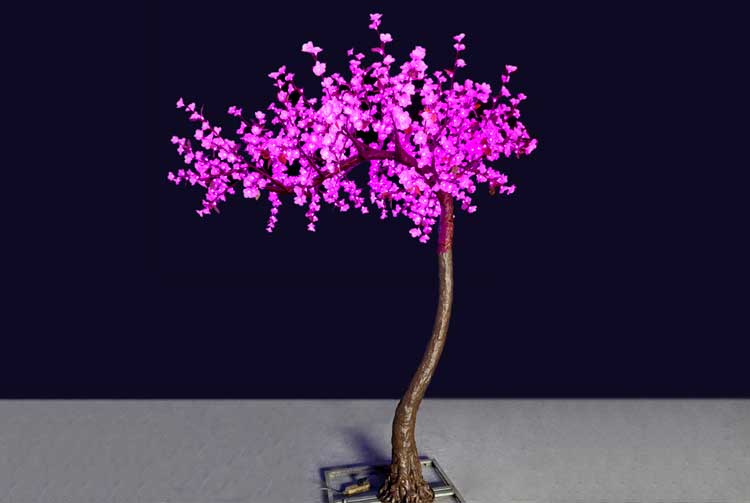 cherry blossom light tree