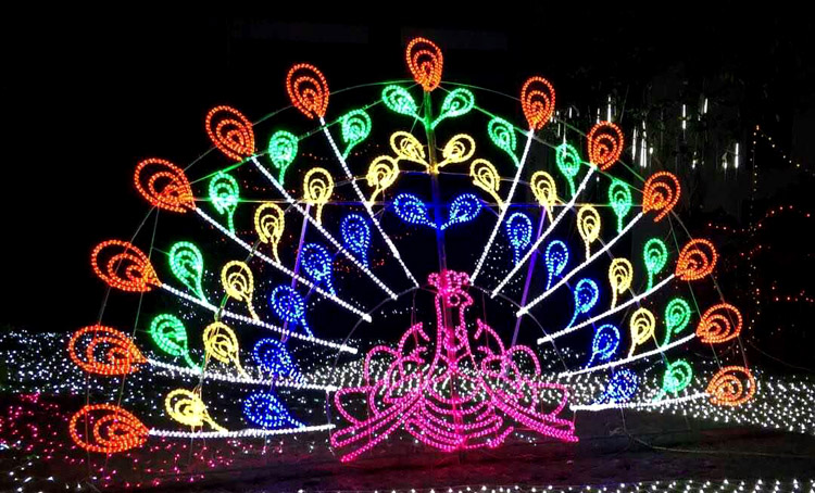 shape decorative lights