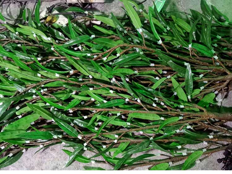 微信图片 20230316164252