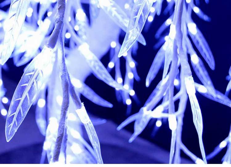 未标题 1 拷贝 1