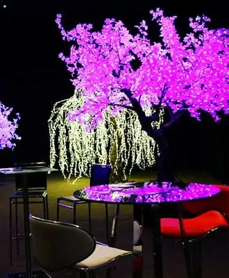 Home 27 willow tree Category