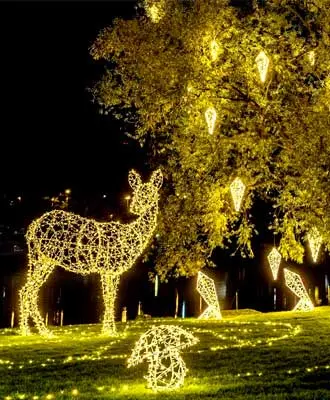 Home 30 motif light Category