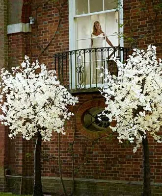 Home 29 maple tree light Category