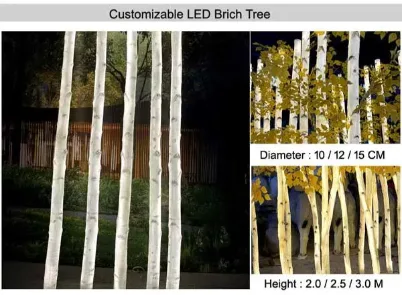 Home 9 birch tree01 1