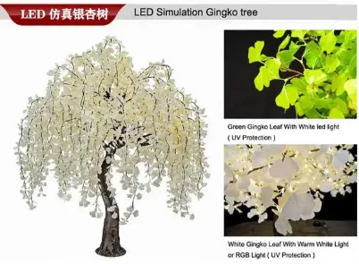 Home 8 ginkgo tree 1