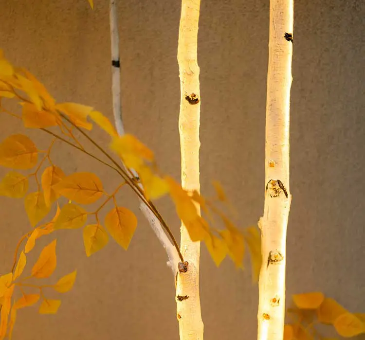 led birch 1