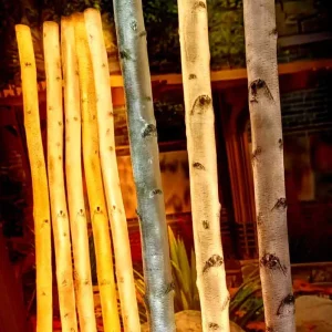 LED birch tree lights