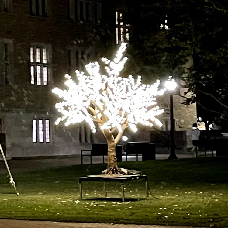 9ft LED Cherry Blossom light with trees | Wholesale Customizable Outdoor Garden Festive Decoration Manufacturer 6 9ft LED Cherry Blossom light with trees | Wholesale Customizable Outdoor Garden Festive Decoration Manufacturer - 图片 6