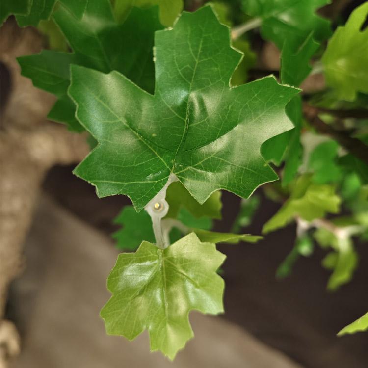 green leaf tree light