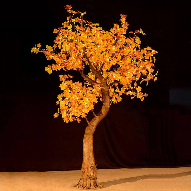lighted maple tree