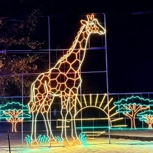 Wholesale outdoor waterproof giraffe wire motif light with tree sunset backdrop
