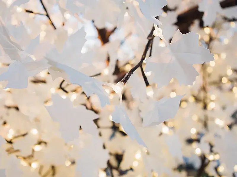 Outdoor Artificial LED Maple Leaf : More Options for Business Sellers 4 white maple leaf and warm white leds
