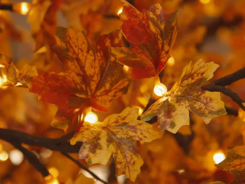 Outdoor Artificial LED Maple Leaf : More Options for Business Sellers 3 yellow maple Leaf 1