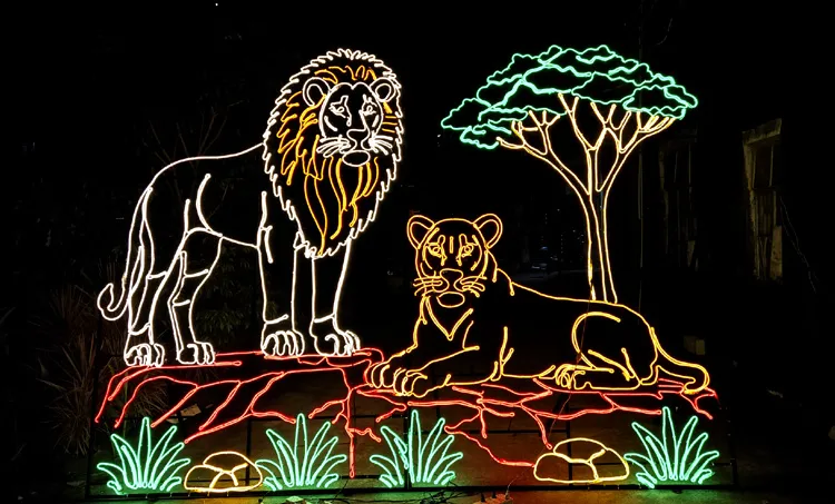 Lion Family 03