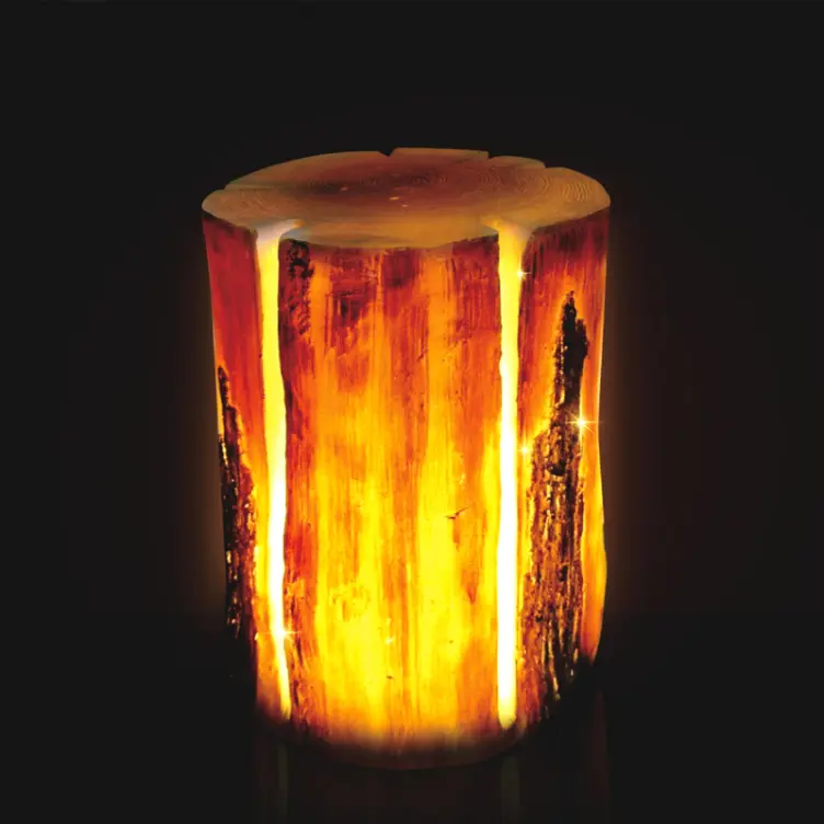 Outdoor LED Tree Stump Light | Commercial Landscape Stump Lighting` 2 Outdoor LED Tree Stump Light | Commercial Landscape Stump Lighting` - 图片 2