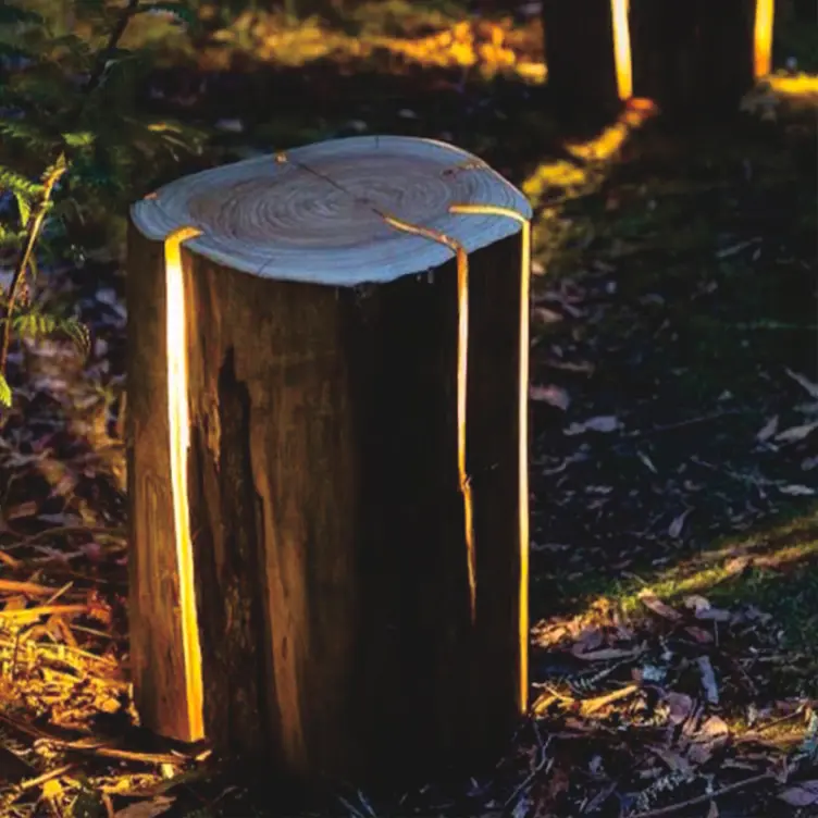 Outdoor LED Tree Stump Light | Commercial Landscape Stump Lighting` 4 Outdoor LED Tree Stump Light | Commercial Landscape Stump Lighting` - 图片 4