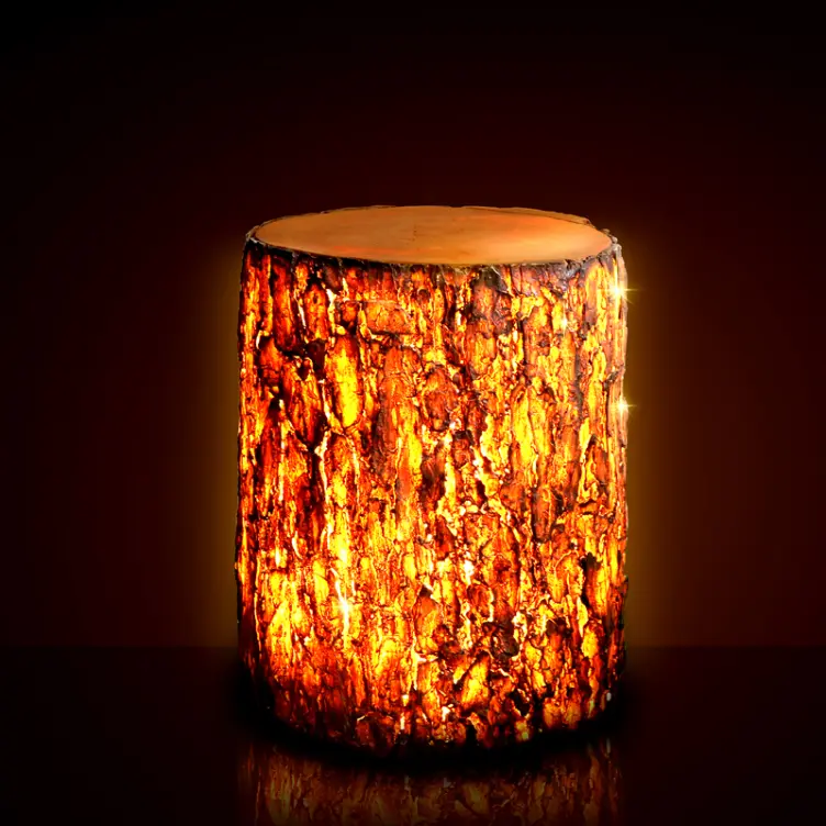 Outdoor LED Tree Stump Light | Commercial Landscape Stump Lighting` 5 Outdoor LED Tree Stump Light | Commercial Landscape Stump Lighting` - 图片 5