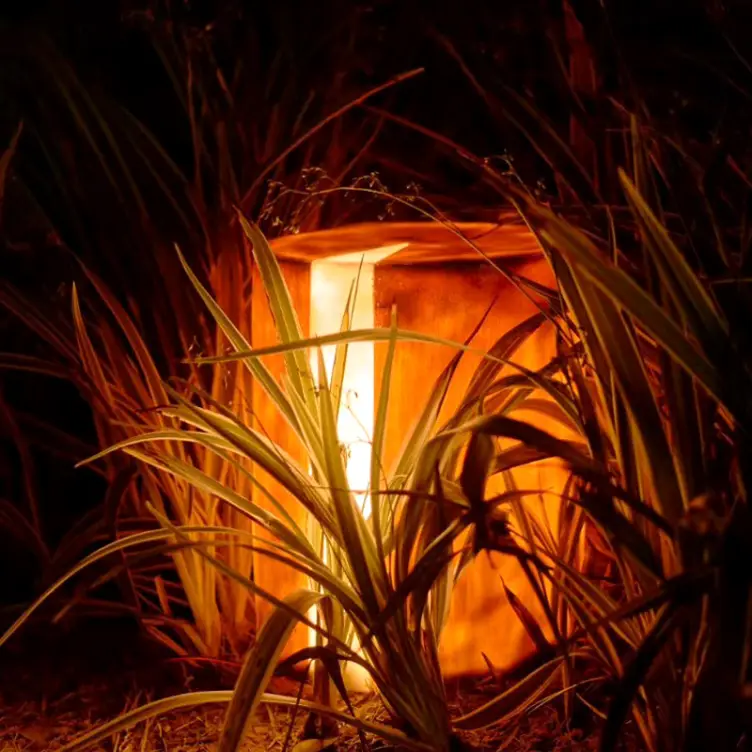Outdoor LED Tree Stump Light | Commercial Landscape Stump Lighting` 3 Outdoor LED Tree Stump Light | Commercial Landscape Stump Lighting` - 图片 3